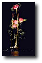 Fireworks photograph