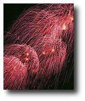 Fireworks photograph