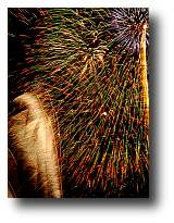 Fireworks photograph