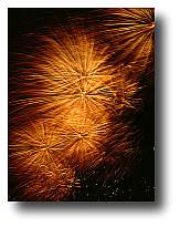 Fireworks photograph