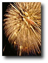 Fireworks photograph