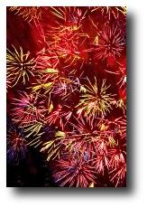 Fireworks photograph