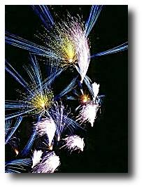 Fireworks photograph