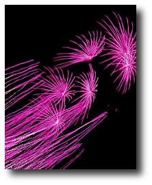 Fireworks photograph