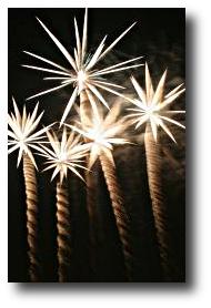 Fireworks photograph