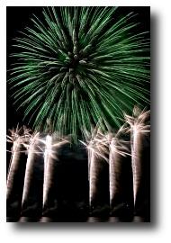 Fireworks photograph