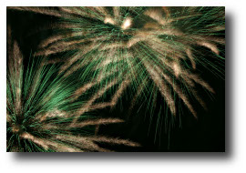 Fireworks photograph