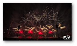 Fireworks photograph title=\Photograph © 2017 Mylene Salvas